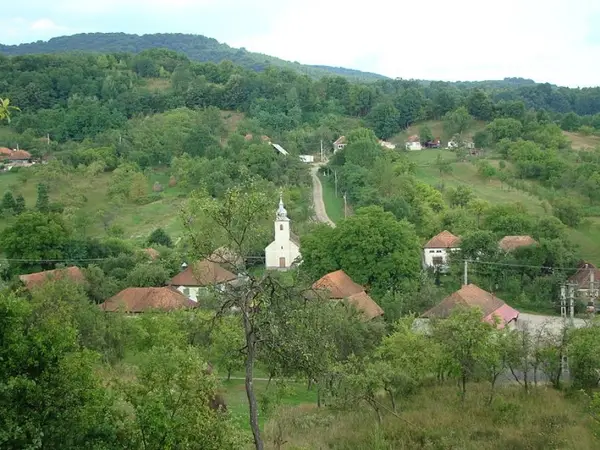 Tarnavita