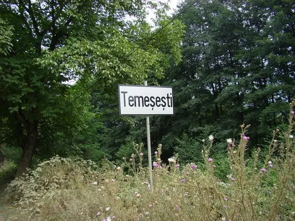 Temesesti