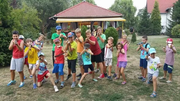 Activitate Afara