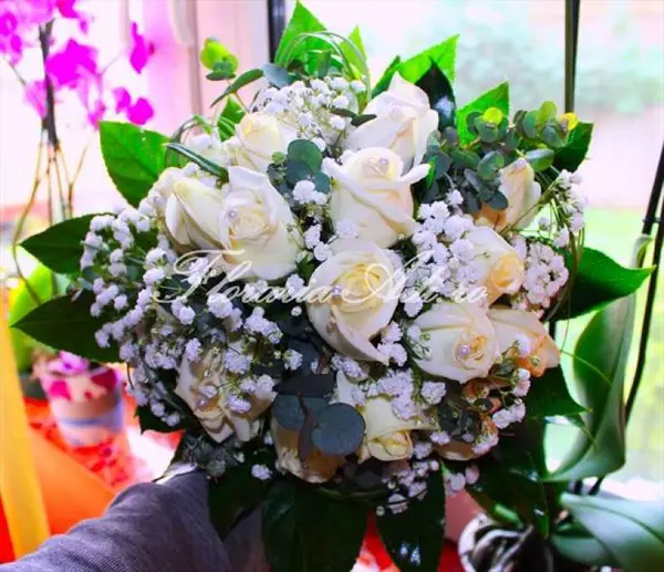 Floraria Adi