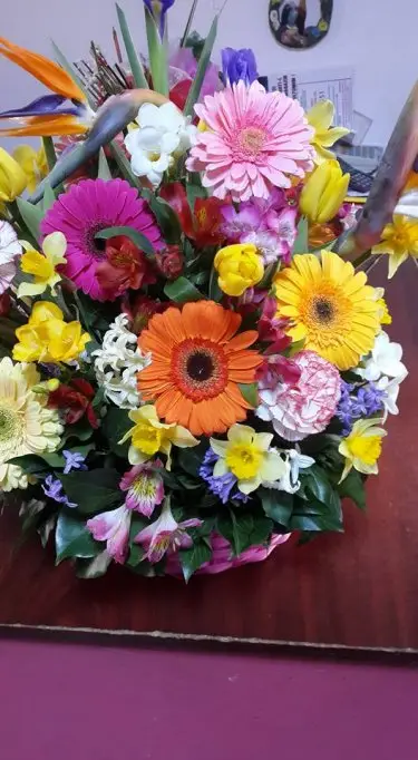 Floraria Camely