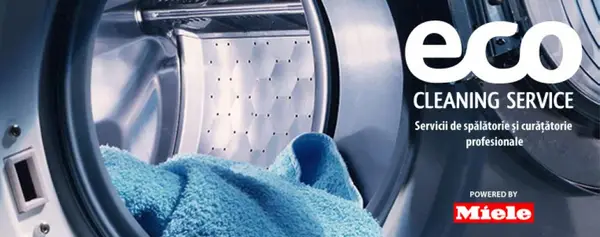 Eco Cleaning Service