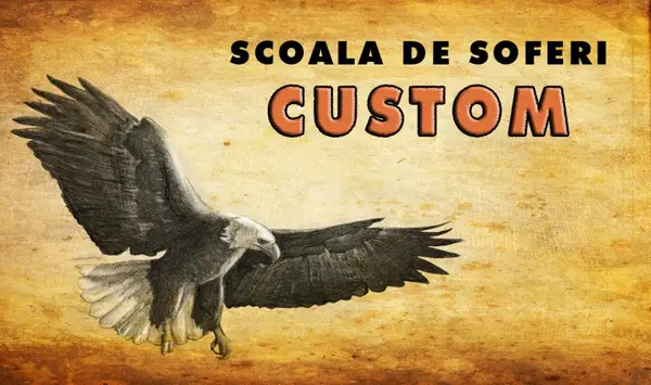 Scoala de soferi Custom
