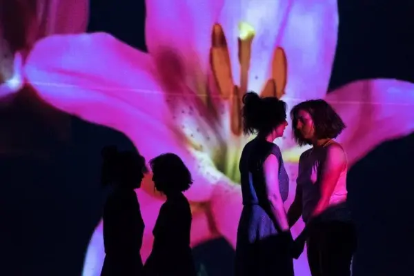 La final, cum poţi să descrii un Festival?