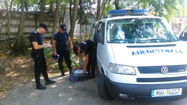 Fapte de încălcare a Codului Vamal, sesizate de jandarmi
