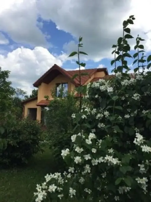 Proprietar vand casa in Ortisoara