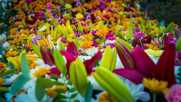 FlorAr