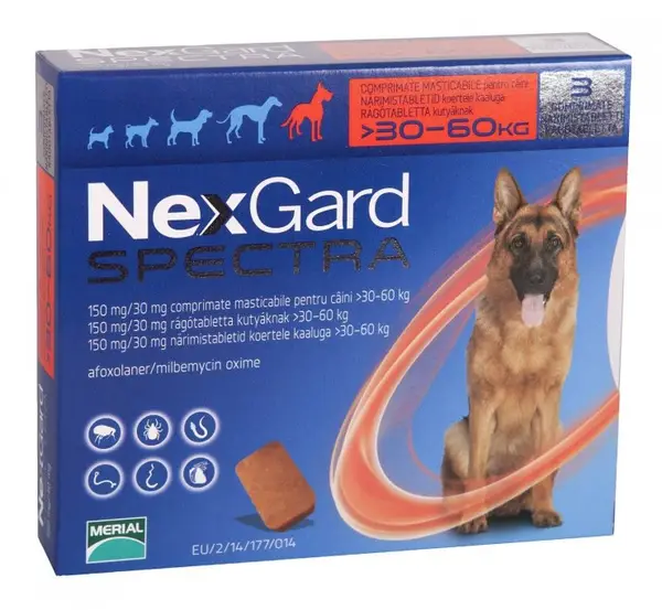 Afla care este importanta deparazitarii animalului tau de companie
