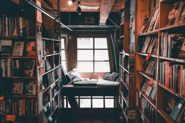Ai cărți vechi în bibliotecă? Află cum poți să le vinzi rapid!