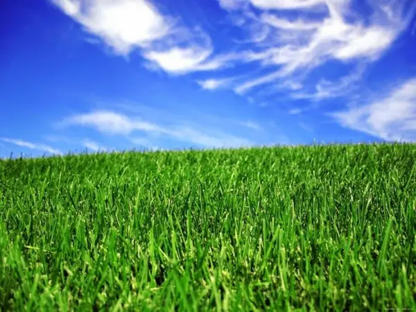 Un altfel de gazon pe balconul tău, cu traversa cu model de iarbă artificială! Disponibilă la Faria