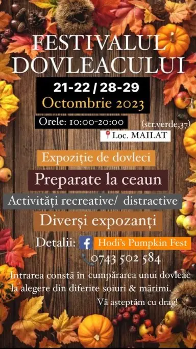Festivalul Dovleacului