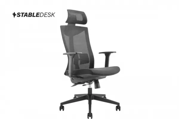 De ce e important să ai un scaun de gaming ergonomic și confortabil de la StableDesk? Află aici!