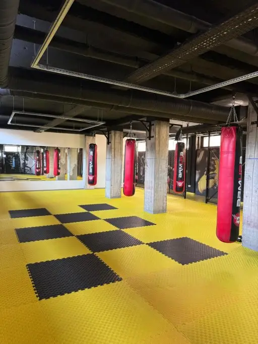 Tatami puzzle, investitie inteligenta pentru orice sala de sport