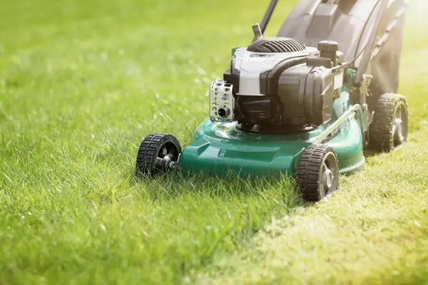Ghid complet pentru îngrijirea gazonului: 7 utilaje eficiente