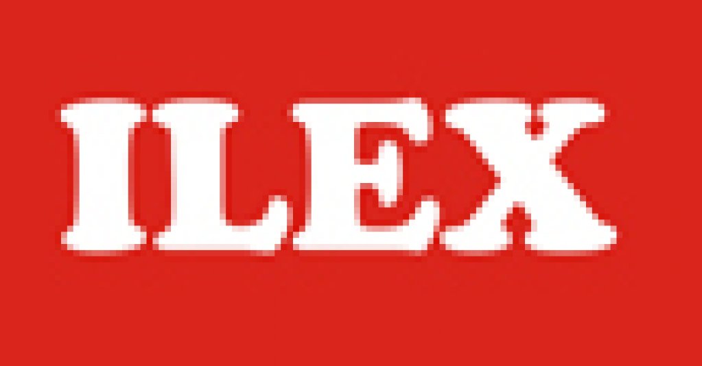 Ilex - Piata Garii