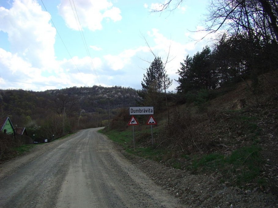 Dumbravita