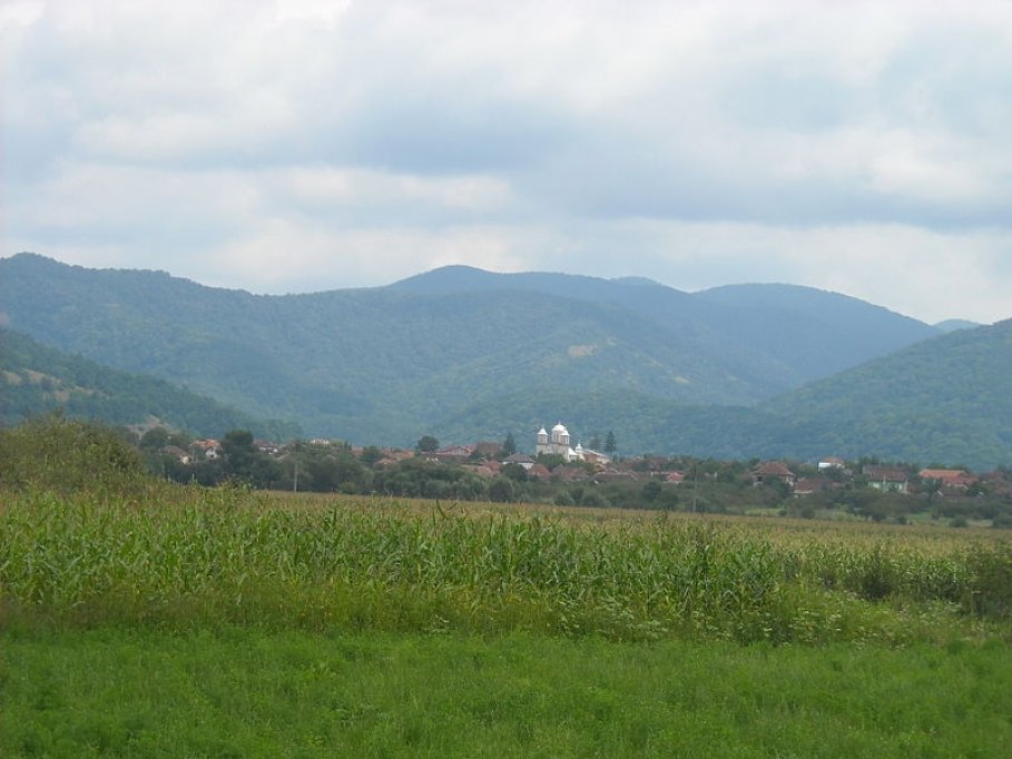 Gurahont