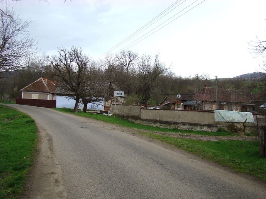 Iacobini