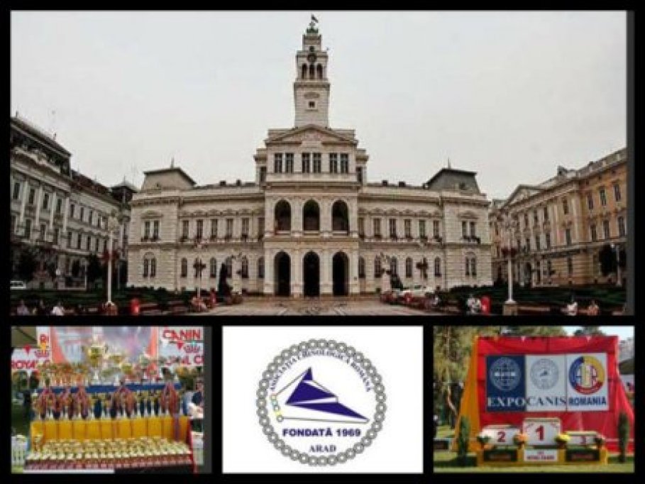 International Dog Show Arad