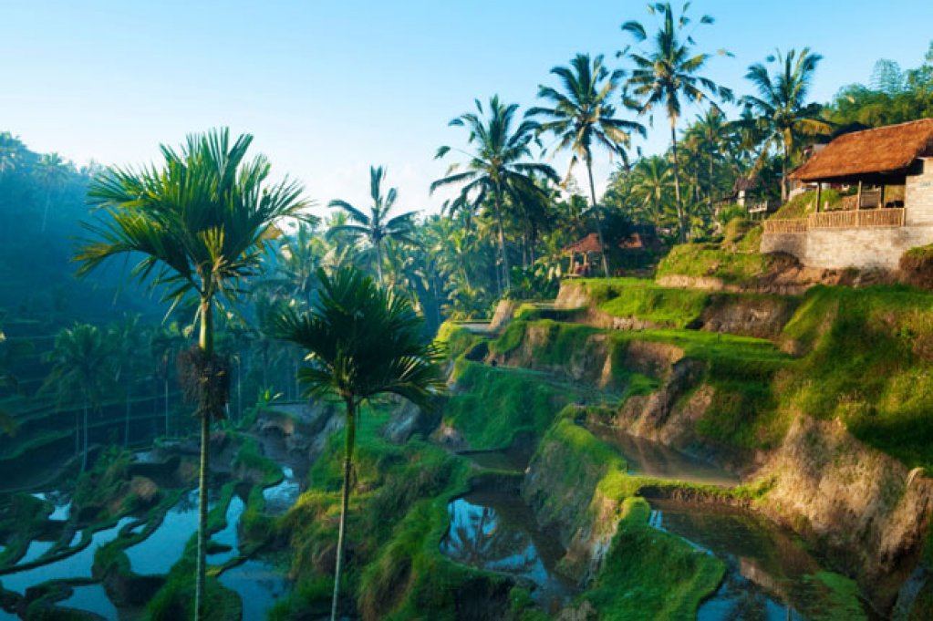Oferta turistica in Bali