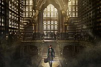 Fantastic Beasts and where to find them 3D Dubbed