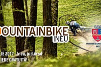 Mountain Bike Ineu