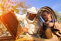 Care sunt cei mai importanti pasi de urmat pentru a deveni un apicultor de succes?