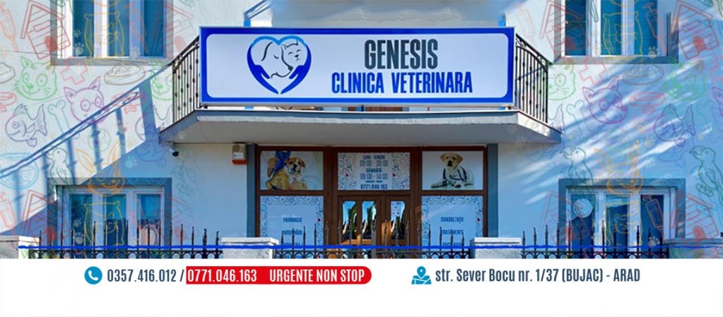 Clinica veterinara Genesis