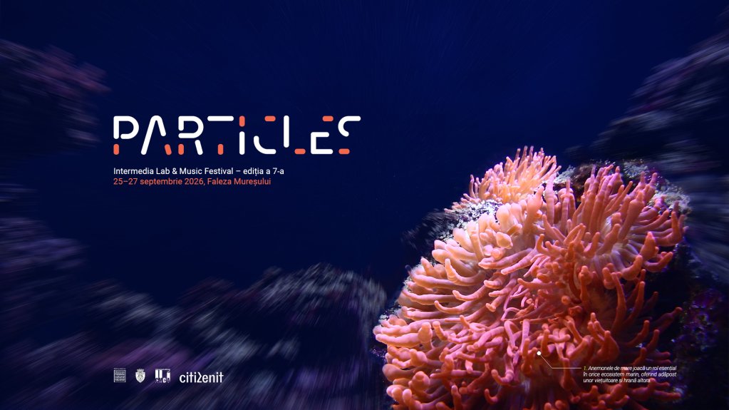 Particles Festival